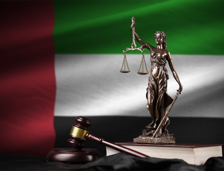 The Legal Framework for Empowering People of Determination in the UAE Labor Market