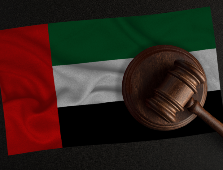 ما الذي يميز القانون الإماراتي عن غيره في حماية الحقوق؟